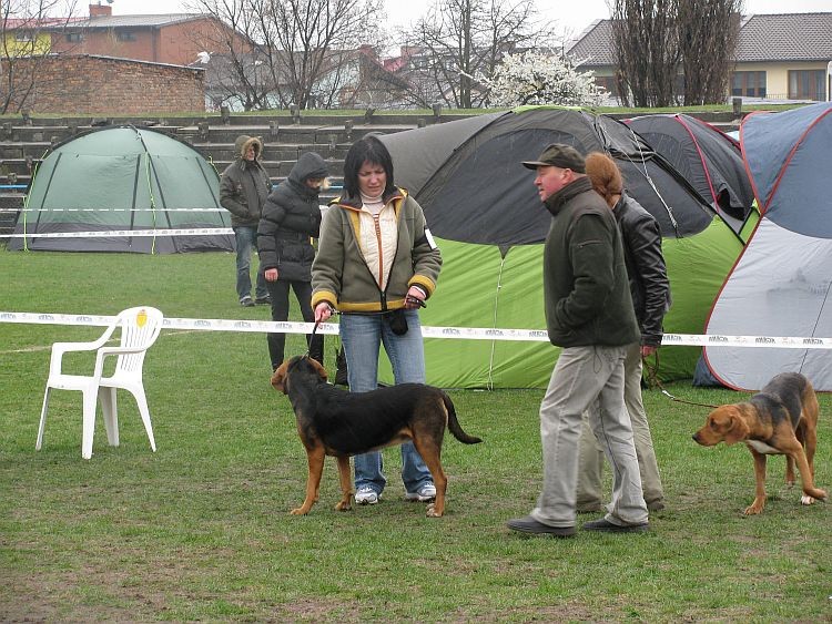 FERI Inowrocław1.jpg