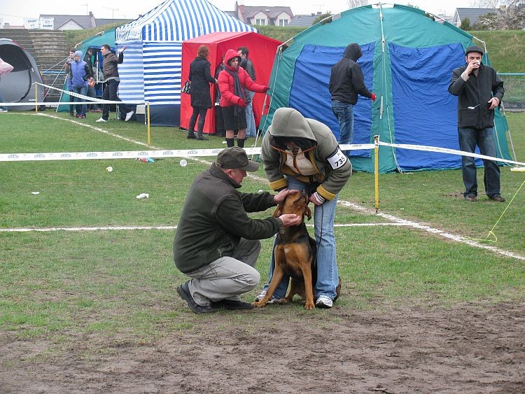 Feri pokazuje ząbki :)