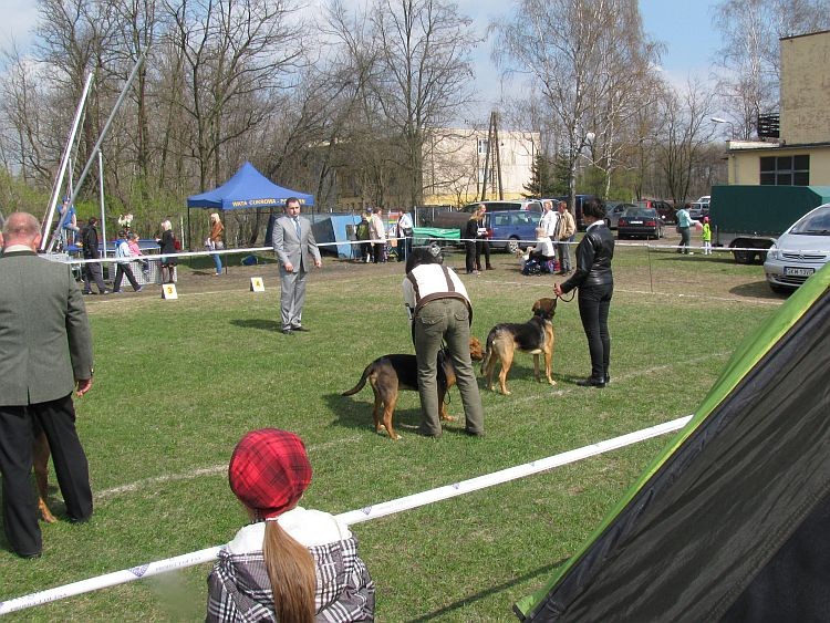 Grudziądz1.jpg