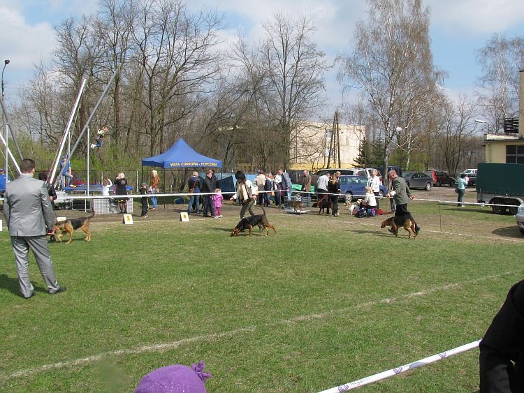 Grudziądz2.jpg