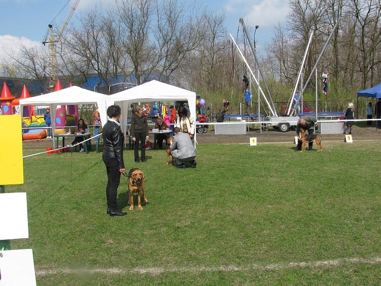 Grudziądz5.jpg