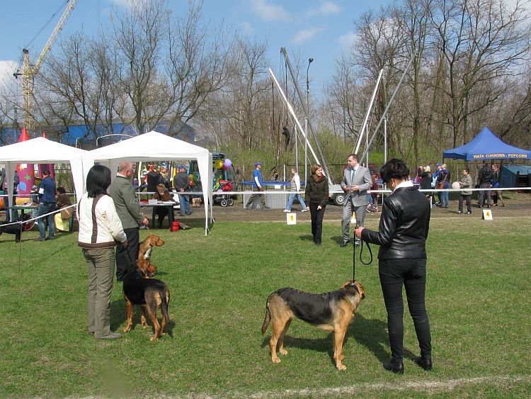 Grudziądz7.jpg