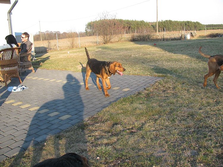 Zagadka: Feri czy Bruno stoi na środku? Po &quot;małym&quot; namyśle - Pewnie, że BRUNO :)