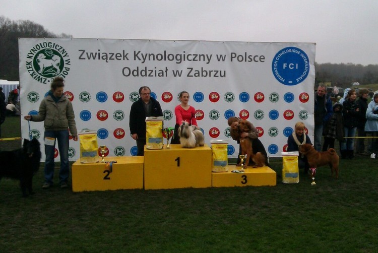 BIS Oddział Zabrze