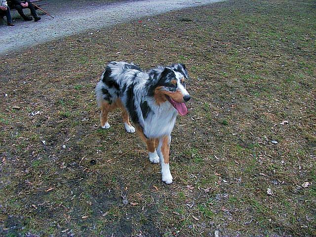 DSCF4412.JPG