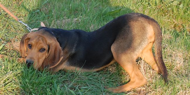DSC_6643.JPG