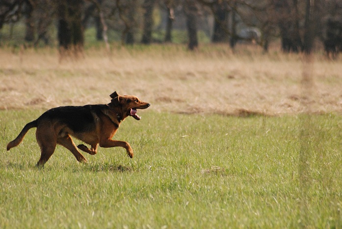 DSC_0731.JPG