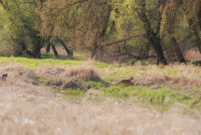 DSC_0745.JPG