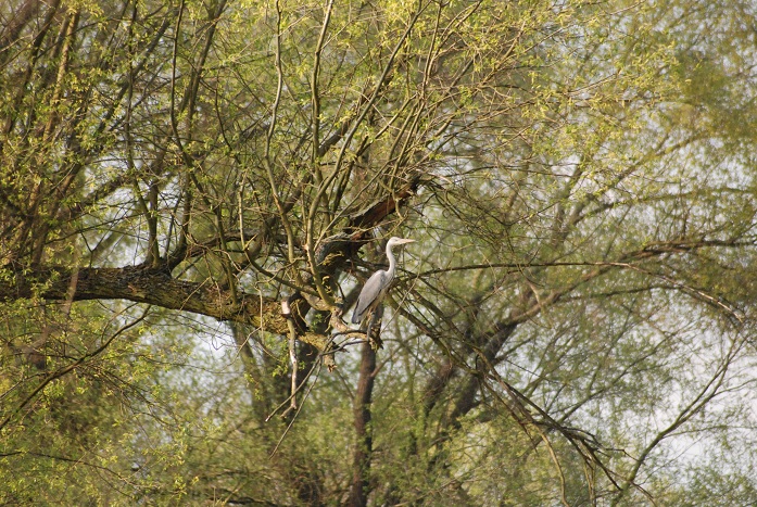 DSC_0789.JPG