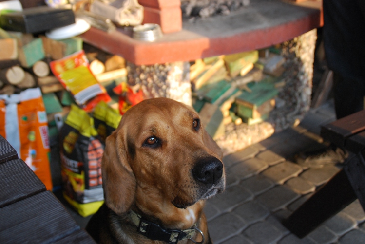 DSC_0017.JPG