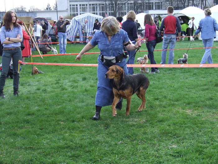 DSCF3313.JPG