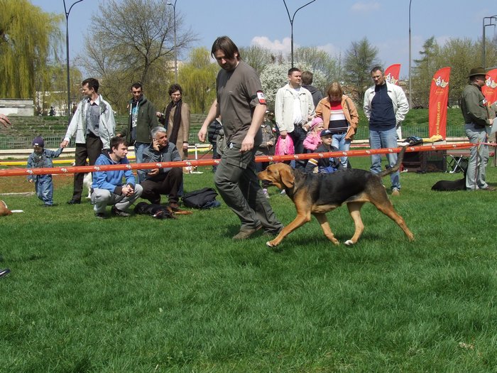 DSCF3331.JPG