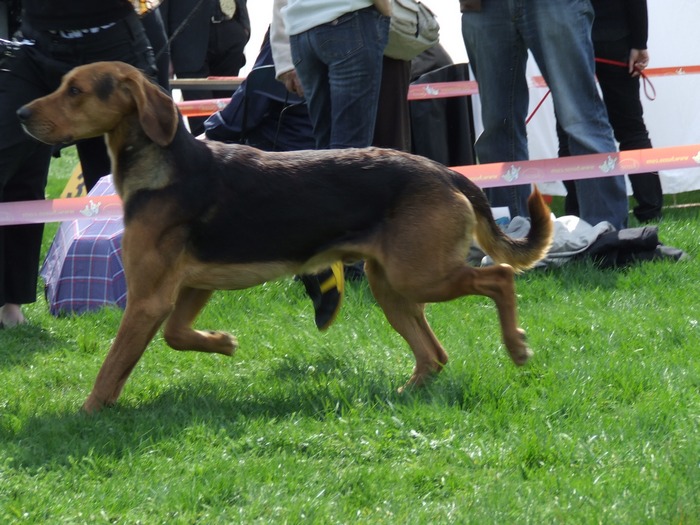 DSCF3318.JPG