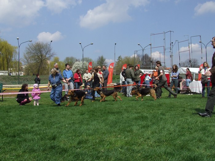 DSCF3351.JPG