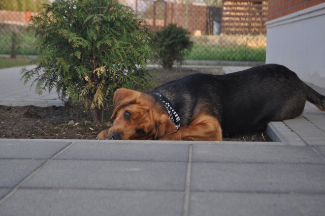 DSC_0239 (640x425).jpg