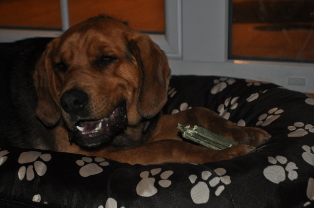DSC_1111 (640x425).jpg