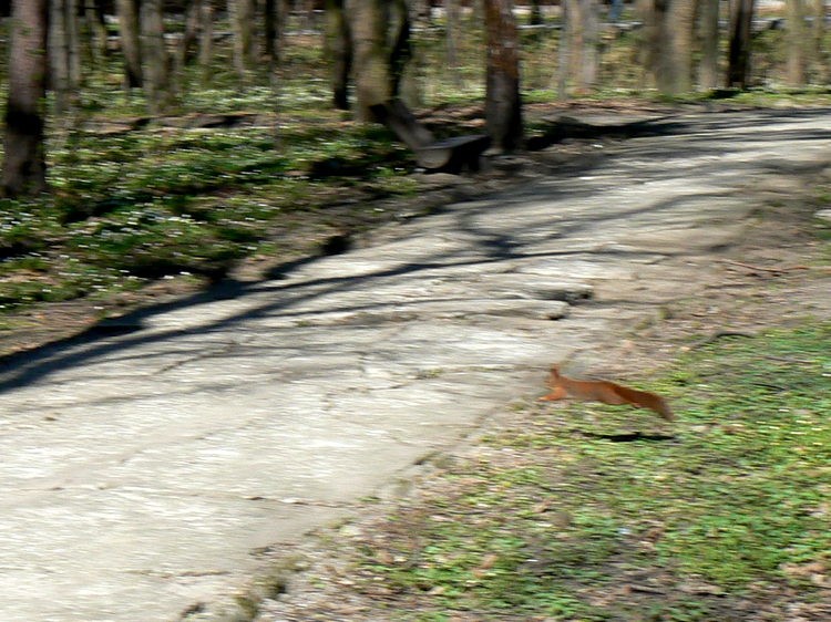 P1590769.JPG