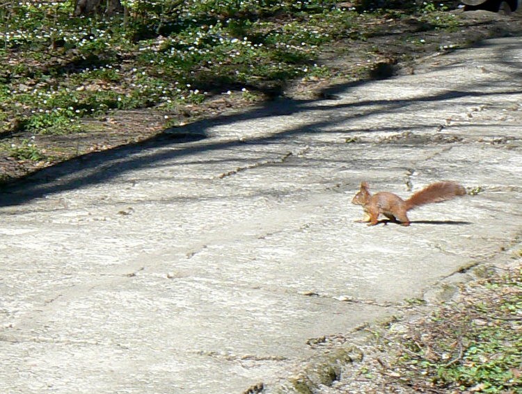 P1590771.JPG