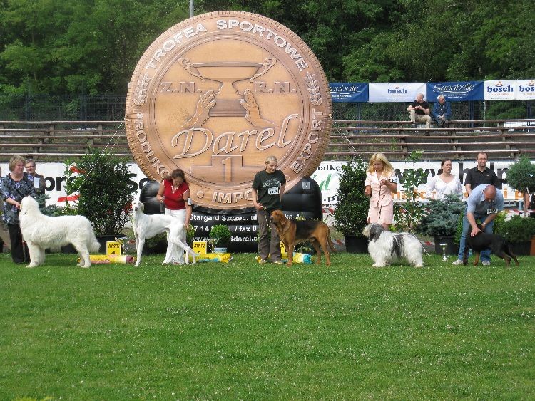 A tu wszystkie RASY POLSKIE na podium:)