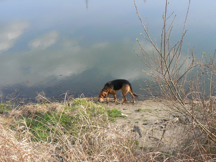 P1600096.JPG