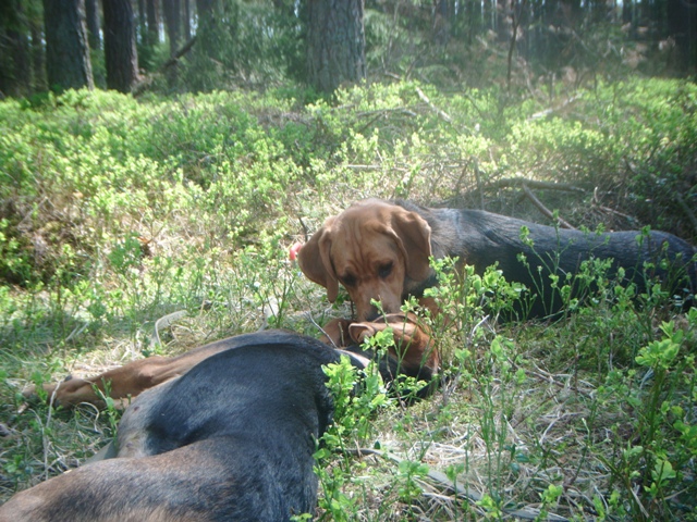 DSCF0273.JPG