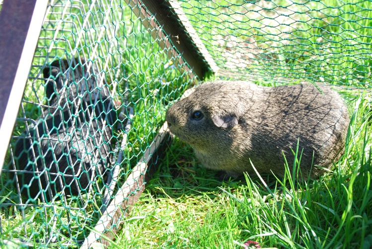 DSC_0067.JPG