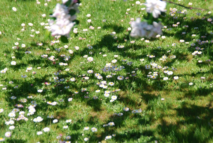 DSC_0058.JPG