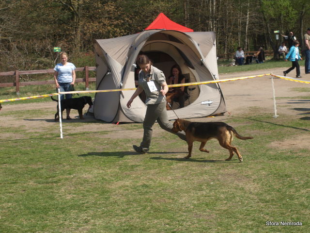 2Z011225.JPG