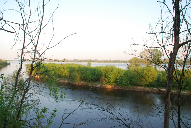DSC_0204.JPG
