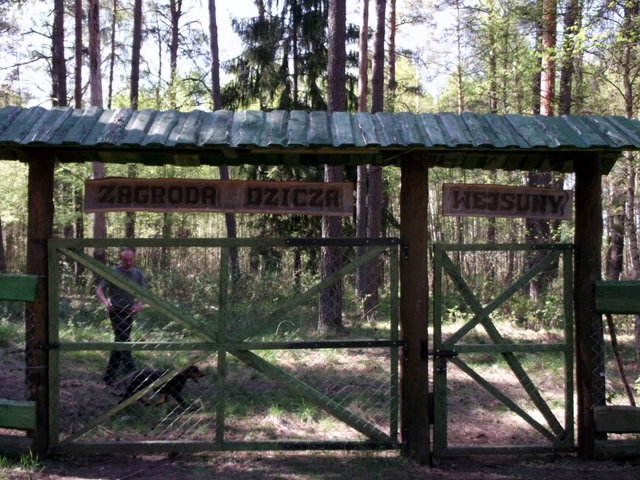 DSCF9469.jpg