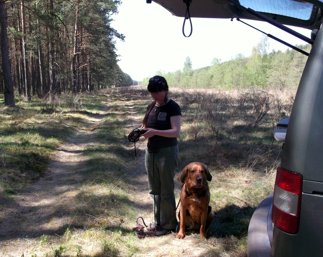 DSCF9471.jpg