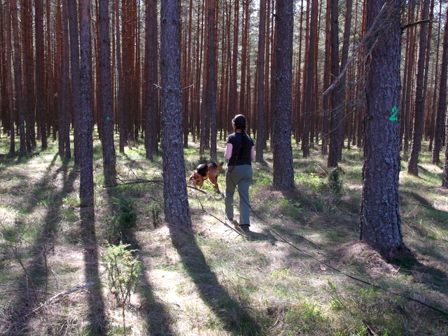 DSCF9473.jpg