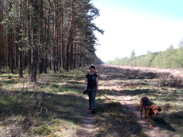 DSCF9477.jpg