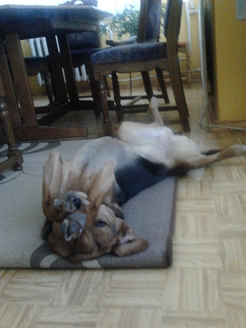 Zdjęcie0051mniejsze.JPG