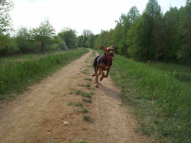 100_2161.JPG