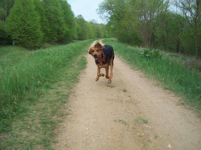 100_2157.JPG