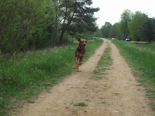 100_2158.JPG