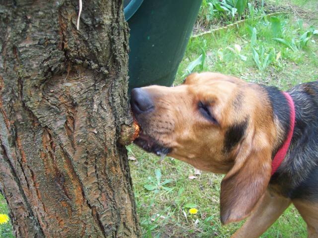 100_2207.JPG
