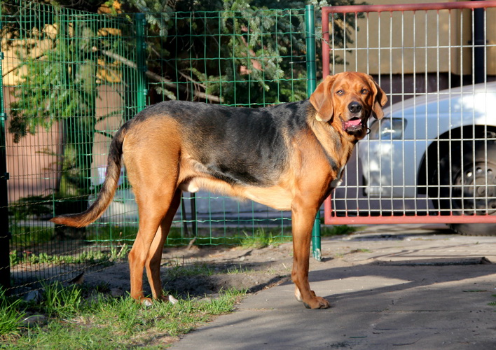 IMG_3507_zmień nazwę.JPG