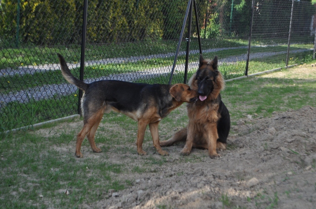 DSC_0632 (640x425).jpg