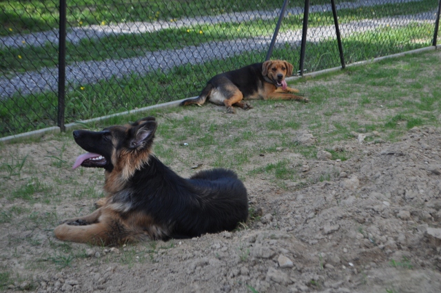 DSC_0639 (640x425).jpg