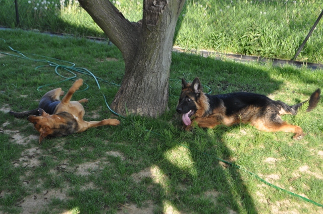 DSC_0683 (640x425).jpg