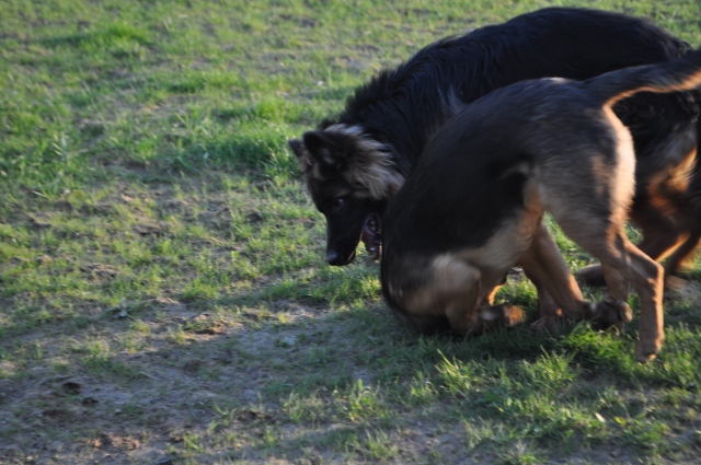 DSC_0707 (640x425).jpg