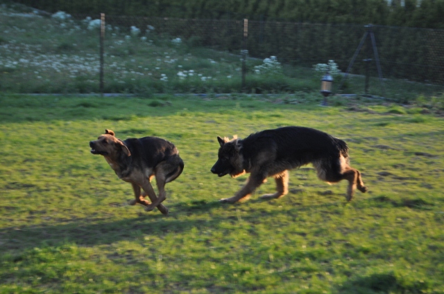 DSC_0769 (640x425).jpg