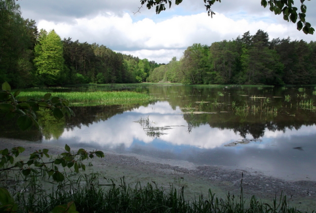 DSCF9548.JPG