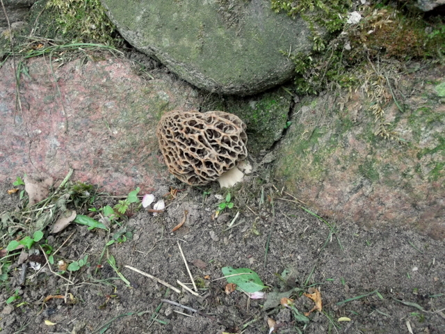 DSCF9568.JPG