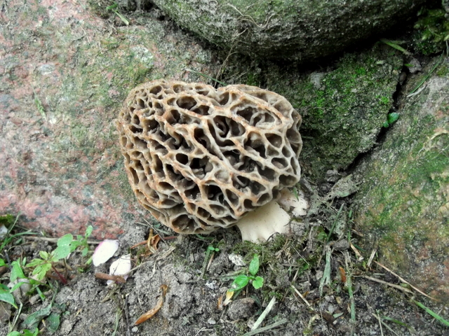 DSCF9571.JPG
