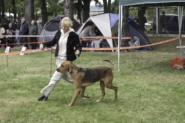 Biegać też mi nie chciało, ale sędzia na szczęście nie &quot;sportowiec&quot; i nie ganiał nas za bardzo :)...