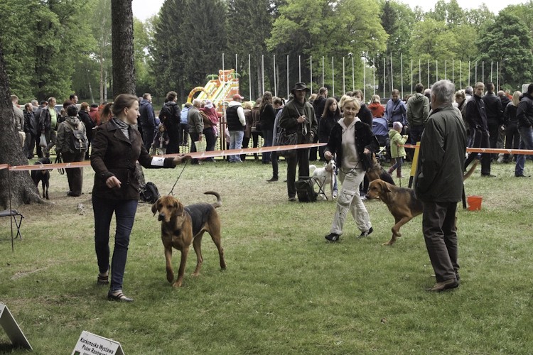 jelenia - wystawa (38 of 55).jpg