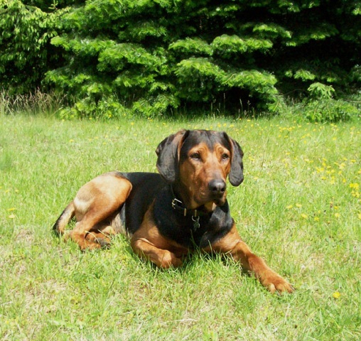 ZAGRAJ PORTRET LATO 2009.jpg